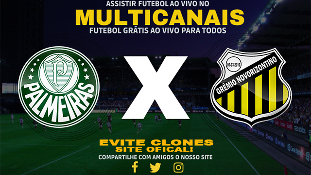 Assistir Palmeiras x Novorizontino AO VIVO Online 28/10/2024