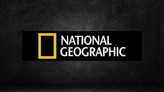 Assistir National Geographic Channel Ao Vivo Online 24 Horas Ao Vivo Online Grátis